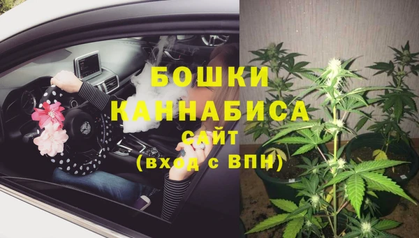 2c-b Белокуриха