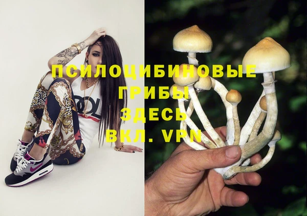 2c-b Белокуриха