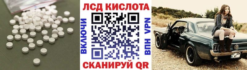 как найти наркотики  Топки  ЛСД экстази ecstasy 