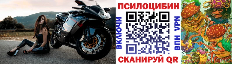 что такое наркотик  Топки  Галлюциногенные грибы мицелий 