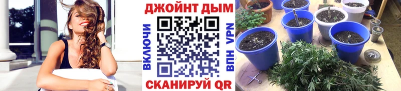 Каннабис гибрид  Топки 